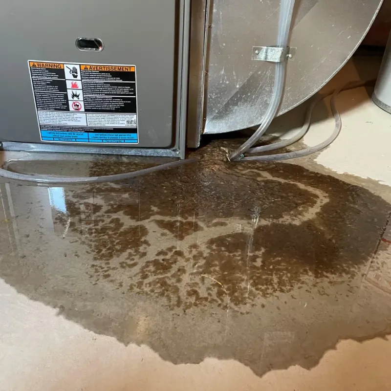 Appliance Leak Cleanup in South Sarasota, FL